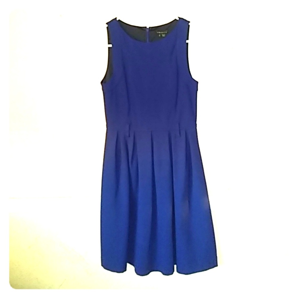Theory Craze Arei Pleated Flare Dress size 2